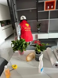 新美净家政，专业擦窗户，新居开荒保洁，家庭日常保洁，小时工