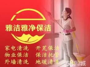 空气净化，净化器清洗，灭四害（家庭单位除虫除蚁 除鼠除蟑螂，