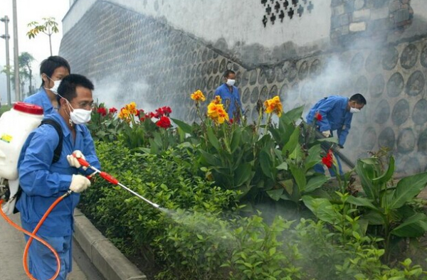 【根源消杀】灭老鼠 除蟑螂 灭跳蚤 除虫除四害 除臭虫室内外