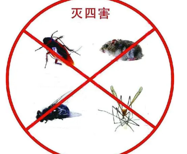 消杀灭害 灭红火蚁、蚂蚁、蜈蚣、灭蚊蝇等；