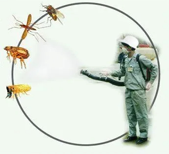 消杀，灭害 灭红火蚁、蚂蚁、蜈蚣、 灭蚊蝇等；